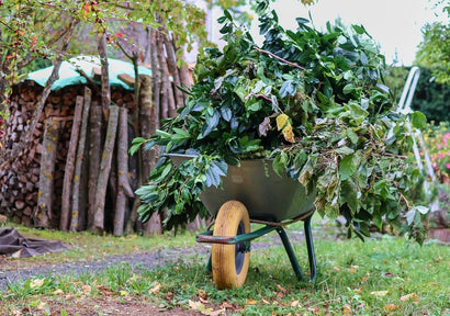 Verde d’Autunno: Cura e Bellezza del Tuo Giardino