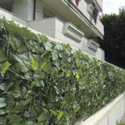 SEMPREVERDE DOUBLE FOGLIE EDERA