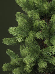Albero monte amiata slim verde cmø31h180 con 524 rami