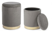 Set da 2 Pouf in velluto con contenitore Grigio POLINA