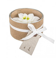 12x Candela Stella Di Natale Bianco C