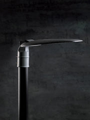 Testa-palo in alluminio pressofuso con luce diretta a LED - 50W, 4400 lumen, 3000°K grafite