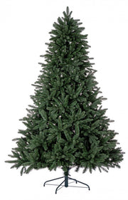 Albero Frejus H400-8819Rami