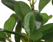 Pianta in plastica con vaso 25x25x35h cm