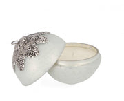 4x Candela Fascinate C-Vt Bia C-Box D125