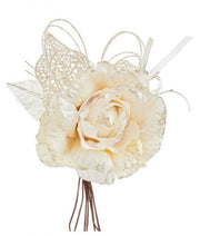 12x Pick Rosa Holly Avorio