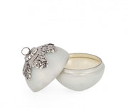 4x Candela Fascinate C-Vt Bia C-Box D100