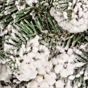 4x Corona Oregon D75