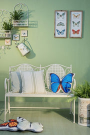 4x P.Fiore Parete Emily Rett L