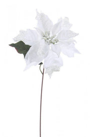 12x Pick Poinsettia Glaciers Bianco H40Cm
