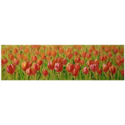 Quadro dipinto fiori rosso rettangolarecm50x150x3