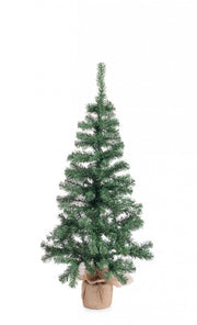 2x Albero Cerano H130-173Rami