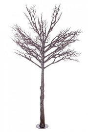 Albero Vienna H230 Nero