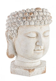 Vaso testa Buddha Magnesia D35 cm