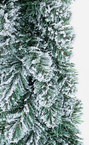 6x Corona Innsbruck Innevato D60