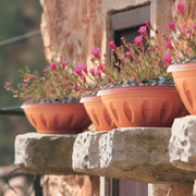 Vaso Ciotola In Resina Bama D40 Colore Terracotta Con Sottovaso