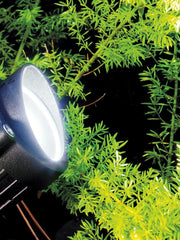 Faretto 6W Led 4000K  linea fox  nero