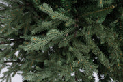 Albero Denali H180-2836 rami